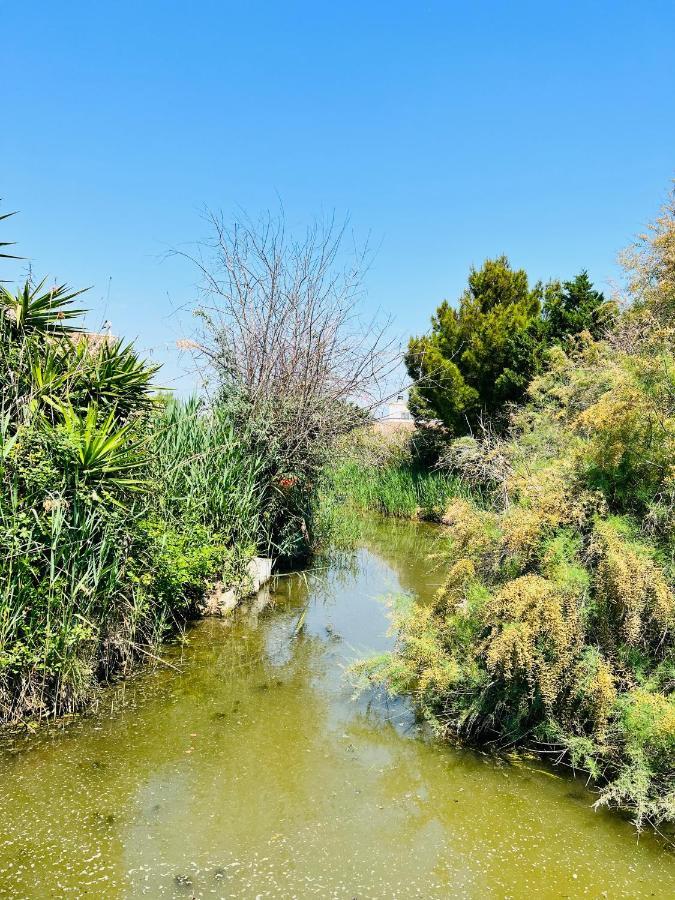 Cabane Le Flamant Avec Jardin, Piscine Et Parking Saintes-Maries-de-la-Mer Ngoại thất bức ảnh