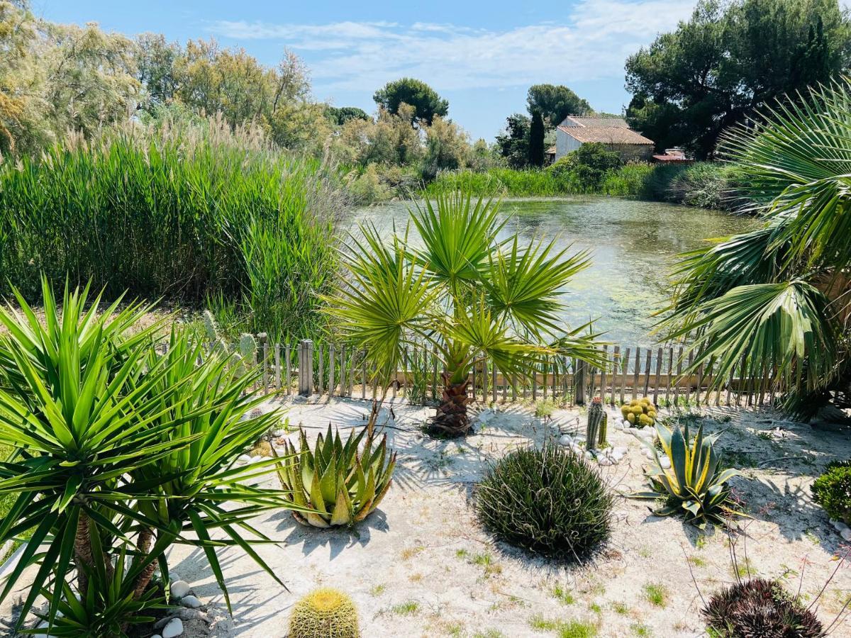 Cabane Le Flamant Avec Jardin, Piscine Et Parking Saintes-Maries-de-la-Mer Ngoại thất bức ảnh