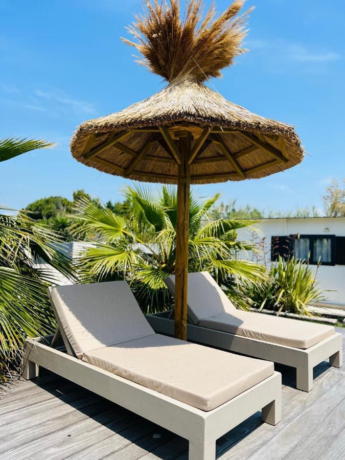 Cabane Le Flamant Avec Jardin, Piscine Et Parking Saintes-Maries-de-la-Mer Ngoại thất bức ảnh