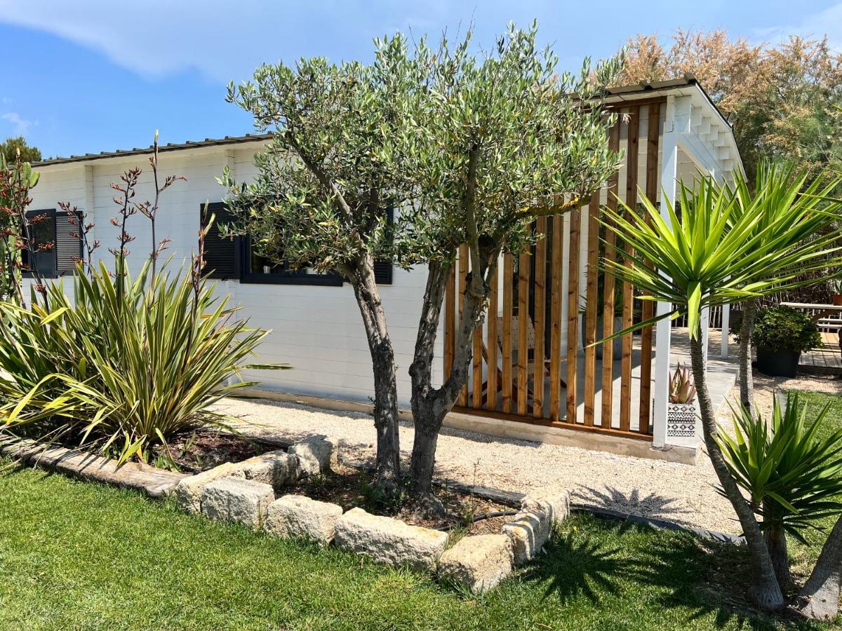 Cabane Le Flamant Avec Jardin, Piscine Et Parking Saintes-Maries-de-la-Mer Ngoại thất bức ảnh